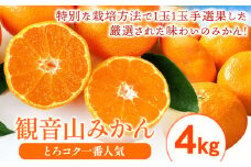 みかん 先行予約 観音山みかん(とろコク一番人気) 4kg 有限会社柑香園《2025年11月中旬-1月下旬頃出荷》和歌山県 紀の川市 フルーツ 果物 柑橘 みかん