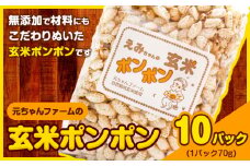 玄米ポンポン 元ちゃんファーム《90日以内に出荷予定(土日祝除く)》 和歌山県 紀の川市 玄米 菓子 送料無料