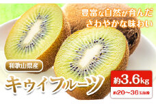 先行予約 和歌山県産 キウイフルーツ 約3.6kg 約20玉～36玉前後 前商店《2026年2月上旬-3月末頃出荷》キウイ キウイフルーツ フルーツ スイーツ 果物 送料無料