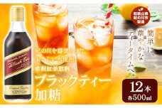 希釈紅茶飲料 GSブラックティー 加糖 500ml×12本《90日以内に出荷予定(土日祝除く)》和歌山県 紀の川市 飲料 紅茶 5倍希釈 株式会社ジーエスフード ミルクティー アイスティー