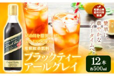 和歌山県紀の川市 希釈紅茶飲料 GSブラックティーアールグレイ 500ml×12本《90日以内に出荷予定(土日祝除く)》和歌山県 紀の川市 飲料 紅茶 5倍希釈 株式会社ジーエスフード ミルクティー アイスティー タピオカ
