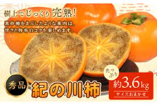 【先行予約】紀の川柿たっぷり 約3.6kg 秀品 紀の川市厳選館 《2025年10月上旬-11月末頃出荷予定》 和歌山県 紀の川市 柿 カキ かき ジューシー フルーツ