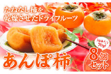 和歌山県産 あんぽ柿 70g×8個セット 紀の川市厳選館 《30日以内に出荷予定(土日祝除く)》 和歌山県 紀の川市 種なし柿 干し柿 ドライフルーツ カキ かき ジューシー フルーツ 和菓子
