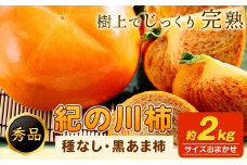 【先行予約】紀の川柿 約2kg (種なし・黒あま柿) 秀品 紀の川市厳選館 《10月上旬-11月末頃出荷予定》 和歌山県 紀の川市 柿 カキ かき ジューシー フルーツ