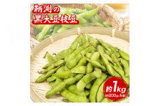【数量限定】和歌山県産鞆渕の黒大豆枝豆 約1kg(200g×5袋入り) 紀の川市厳選館《2025年10月上旬-11月末頃より出荷予定》 和歌山県 紀の川市 豆 枝豆