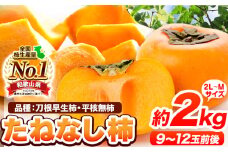 種が無いから食べやすい！たねなし柿（刀根早生柿・平核無柿）約2kg（9～12玉前後）【先行予約】《2025年9月中旬-11月上旬頃出荷》 和歌山県 紀の川市 種なし柿 産地直送 柿 果物 フルーツ 2L～Mサイズ カキ