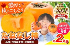 種が無いから食べやすい！たねなし柿（刀根早生柿・平核無柿）約2kg（9～12玉前後）【先行予約】《2025年9月中旬-11月上旬頃出荷》 和歌山県 紀の川市 種なし柿 産地直送 柿 果物 フルーツ 2L～Mサイズ カキ