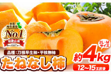 種が無いから食べやすい！たねなし柿(刀根早生柿・平核無柿)約4kg(12～15玉前後)【先行予約】《2025年9月中旬-11月上旬頃出荷》 和歌山県 紀の川市 種なし柿 産地直送 柿 果物 フルーツ 2L～Mサイズ カキ  10000円 人気 一万円 果物