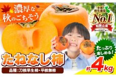 種が無いから食べやすい！たねなし柿(刀根早生柿・平核無柿)約4kg(12～15玉前後)【先行予約】《2025年9月中旬-11月上旬頃出荷》 和歌山県 紀の川市 種なし柿 産地直送 柿 果物 フルーツ 2L～Mサイズ カキ  10000円 人気 一万円 果物