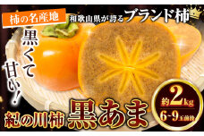  柿 黒いダイヤ！ 黒あま柿 約2kg（6～9玉前後）4L～2Lサイズ【先行予約】《2025年10月中旬-11月末頃出荷》和歌山県 紀の川市 たねなし柿 くろあま 高級 産地直送 かき 柿 カキ 果物 フルーツ  10000円 人気 一万円 果物