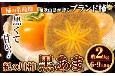  柿 黒いダイヤ！ 黒あま柿 約2kg（6～9玉前後）4L～2Lサイズ【先行予約】《2025年10月中旬-11月末頃出荷》和歌山県 紀の川市 たねなし柿 くろあま 高級 産地直送 かき 柿 カキ 果物 フルーツ  10000円 人気 一万円 果物