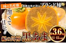 柿 黒いダイヤ！黒あま 約3.6kg（11～15玉前後）4L～2Lサイズ【先行予約】《2025年10月中旬-11月末頃出荷》和歌山県 紀の川市 たねなし柿 くろあま 高級 産地直送 かき 柿 カキ 果物 フルーツ
