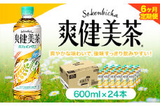 ★6ヶ月定期便★ 爽健美茶 600ml×24本 コカ・コーラボトラーズジャパン（株）《お申込み月翌月から出荷開始》和歌山県 紀の川市 お茶 茶 ハトムギ 玄米 月見草