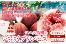 いちじくプリンセス ロハス農園《8月中旬-11月末頃出荷》和歌山県 紀の川市 無花果 イチジク【配送不可地域あり】 