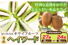 秀品 紀の川市産キウイフルーツ ヘイワード(3Lサイズ24個もしくは2Lサイズ27個のいずれかおまかせ) 和田果樹園《2026年1月中旬-3月中旬頃出荷》 和歌山県 紀の川市 キウイ キウイフルーツ ヘイワード 果物 フルーツ 贈答用 送料無料