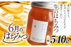 6月のはちみつ 540g KURARI くらりミツバチ研究室《90日以内に出荷予定(土日祝除く)》和歌山県 紀の川市 蜂蜜 ハチミツ 非加熱 純正生はちみつ トースト ヨーグルト