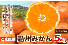 ご家庭用 温州みかん 5kg (S～Lサイズ混合) 和田果樹園【先行予約】《2025年11月上旬-2月上旬頃出荷》 和歌山県 紀の川市 みかん ミカン 果物 フルーツ 温州みかん ご家庭用 送料無料