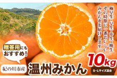 贈答用にもおすすめ 温州みかん 10kg (S～Lサイズ混合) 和田果樹園【先行予約】《2025年11月上旬-2026年2月上旬頃出荷》 和歌山県 紀の川市 みかん ミカン 果物 フルーツ 温州みかん 贈答用 送料無料