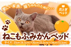 爪とぎ ねこもふみかんベッド 濱田紙販売株式会社 猫 ネコ ツメとぎ 《90日以内に出荷予定(土日祝除く)》 和歌山県 紀の川市 ペット用品 段ボール ダンボール デザイン 蜜柑