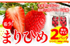 【先行予約】希少！まりひめ　特大サイズ　約300g～350g×2パック きよ農園《2026年2月末-3月末頃出荷》 いちご 苺 まりひめ フルーツ 果物 スイーツ 送料無料