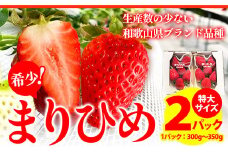 【先行予約】希少！まりひめ　特大サイズ　約300g～350g×2パック きよ農園《2026年2月末-3月末頃出荷》 いちご 苺 まりひめ フルーツ 果物 スイーツ 送料無料
