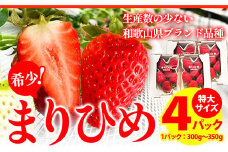 ＜先行予約＞希少！まりひめ　特大サイズ　約300g～350g×4パック きよ農園《2026年1月中旬-3月末頃出荷》 いちご 苺 まりひめ フルーツ 果物 スイーツ 送料無料