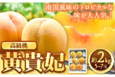 【先行予約】希少種 黄貴妃 約2kg 5-7玉入り 嶋農園《2025年9月上旬-9月末頃出荷》 和歌山県 紀の川市 桃 もも モモ フルーツ 果物 送料無料