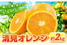 清見オレンジ 2kg ときわオンライン【先行予約】《2026年1月中旬-4月上旬頃出荷》 和歌山県 紀の川市 フルーツ 果物 清見 オレンジ 柑橘 送料無料