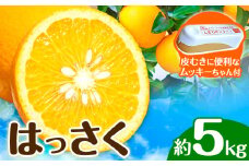 はっさく 皮むきに便利なムッキーちゃん付き 約5kg ときわオンライン【先行予約】《2025年10月上旬-2026年2月中旬頃出荷》 和歌山県 紀の川市 フルーツ 果物 八朔 柑橘 送料無料
