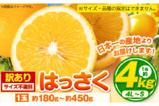 八朔 寄附額見直しました！ 訳あり はっさく 八朔 約4kg (4L~Sサイズ)  サイズ不選別 早生･晩生指定不可《2月上旬-3月中旬に出荷予定(土日祝除く)》