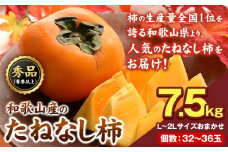 【先行予約】和歌山産のたねなし柿約7.5kg L~2Lサイズおまかせ 32～36玉【サイズお任せ/秀品】青秀以上《10月上旬-11月末頃出荷予定》 和歌山県 紀の川市 紀の川市厳選館 柿 カキ かき ジューシー フルーツ 秋の味覚 刃根早生 平核無柿