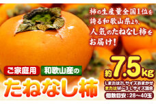 【ご家庭用】和歌山産のたねなし柿約7.5kg Lまたは2LサイズおまかせまたはM～3Lサイズ混合(個数目安:28玉～40玉)《10月上旬-11月末頃出荷予定》 和歌山県 紀の川市 紀の川市厳選館 柿 カキ かき ジューシー フルーツ 秋の味覚 刃根早生 平核無柿