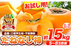 ＜先行予約＞柿 お試し用！ たねなし柿（刀根早生柿・平核無柿）約1.5kg（5～8玉前後） 《2025年9月中旬-11月上旬頃出荷》 和歌山県 紀の川市 種なし柿 産地直送 柿 果物 フルーツ 2L～Mサイズ カキ