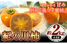 【先行予約】紀の川柿 約2kg 4-9玉 岸武青果株式会社《10月中旬-12月上旬頃出荷》 和歌山県 紀の川市 柿 カキ かき 黒ゴマ蜜柿 果物 フルーツ 送料無料
