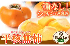 【先行予約】ひらたねなし柿 約2kg 4-9玉 岸武青果株式会社《10月中旬-12月上旬頃出荷》 和歌山県 紀の川市 柿 カキ かき 平核無柿 種なし 果物 フルーツ 送料無料