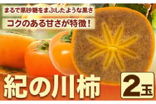 紀の川柿 2玉入 約500g ときわオンライン【先行予約】《2025年10月上旬-12月中旬頃出荷》和歌山県 紀の川市 平核無柿 ひらたねなしがき