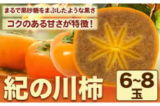 【先行予約】紀の川柿 6-8玉入 約1.8kg ときわオンライン《2025年10月上旬-12月中旬頃出荷》和歌山県 紀の川市 平核無柿 ひらたねなしがき