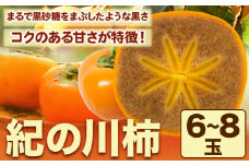 【先行予約】紀の川柿 6-8玉入 約1.8kg ときわオンライン《2025年10月上旬-12月中旬頃出荷》和歌山県 紀の川市 平核無柿 ひらたねなしがき