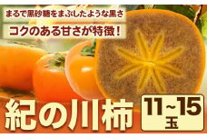 紀の川柿 11-15玉入 約4kg ときわオンライン【先行予約】《2025年10月上旬-12月中旬頃出荷》和歌山県 紀の川市 平核無柿 ひらたねなしがき