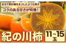 紀の川柿 11-15玉入 約4kg ときわオンライン【先行予約】《2025年10月上旬-12月中旬頃出荷》和歌山県 紀の川市 平核無柿 ひらたねなしがき