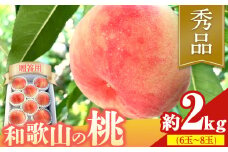  【2026年先行予約】【贈答用 / 熨斗非対応】 秀品 和歌山の桃 約2kg (6玉~8玉) m&n果実園 【配送不可地域あり】 《6月中旬-7月下旬頃出荷》和歌山県 紀の川市 モモ 桃 もも 旬 白鳳 日川白鳳 なつっこ 果物 フルーツ 贈り物 ギフト