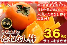 和歌山産のたねなし柿 約3.6kg 秀品《2025年10月上旬-11月末頃出荷》 和歌山県 紀の川市 紀の川市厳選館 柿 カキ かき ジューシー フルーツ 秋の味覚 刃根早生 平核無柿