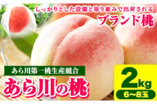 【2025年先行予約】あら川の桃約2kg(6-8玉) あら川第一桃生産組合《6月下旬から8月下旬頃出荷(土日祝除く)》 和歌山県 紀の川市 あら川の桃 モモ 桃 もも