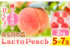 乳酸菌で育てた あら川の桃 Lacto Peach ラクトピーチ 2kg《7月上旬-8月上旬頃出荷》 5~7玉入箱 和歌山県産 辻本農園 SEC & Co. 紀の川市 果物 フルーツ 桃 もも モモ 旬