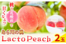 乳酸菌で育てた あら川の桃 Lacto Peach ラクトピーチ ２玉《2025年7月上旬-8月上旬頃出荷》 2玉入箱 和歌山県産 辻本農園 SEC & Co. 紀の川市 果物 フルーツ 桃 もも モモ 旬
