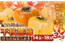 柿【先行予約】平核無柿 約3kg (14~18玉) こだまファーム《9月中旬-11月中旬頃出荷》 和歌山県 紀の川市 柿 カキ かき 果物 フルーツ 送料無料
