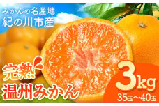 みかん【先行予約】完熟 温州みかん 約3kg (35~40玉) こだまファーム《10月中旬-2月中旬頃出荷》 和歌山県 紀の川市 みかん ミカン 果物 フルーツ