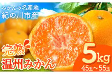 みかん【先行予約】完熟 温州みかん 約5kg (45~55玉) こだまファーム《10月中旬-2月中旬頃出荷》 和歌山県 紀の川市 みかん ミカン 果物 フルーツ