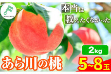 桃 紀の川市産 あら川の桃 約2kg 5~8玉 FARMER'S FARMER《7月上旬-8月上旬頃出荷》 和歌山県 紀の川市 果物 フルーツ 桃 もも モモ 旬