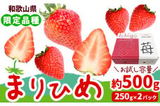 いちご まりひめ【2026年出荷分】 約500g ( 250g × 2パック ) お試し パック 苺 イチゴ JAわかやま 紀の里地域本部《2026年2月中旬-3月末頃出荷》 和歌山県 紀の川市 青果物 果物 くだもの フルーツ スイーツ
